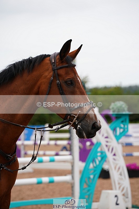 240803A-123418-07865 - Cls 36 85cm Amateur Qualifier