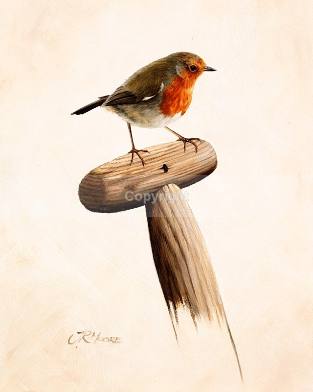 The gardener. - Birds