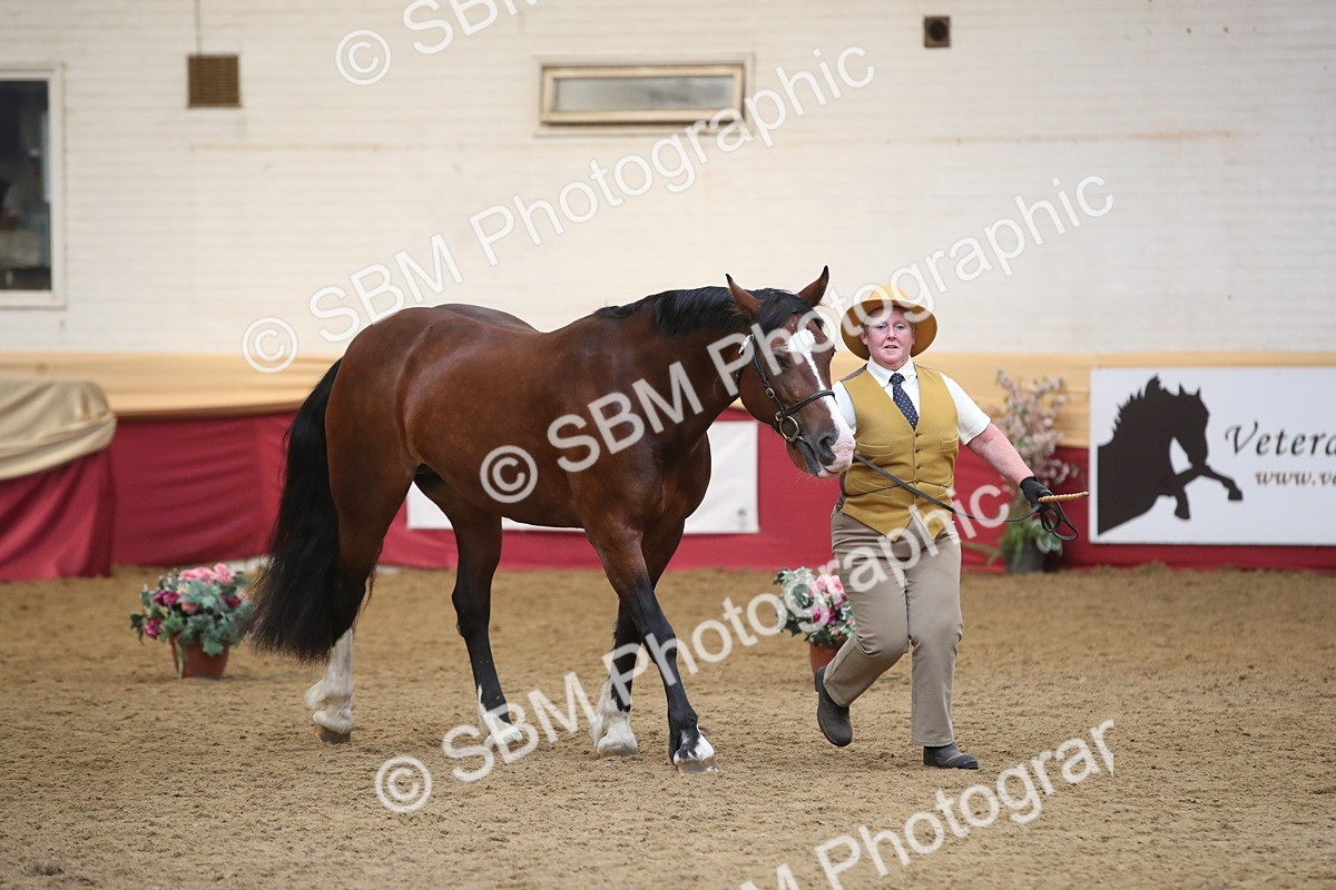 SBM_05652 - Class 9R - Regional IH Pre-Vet
