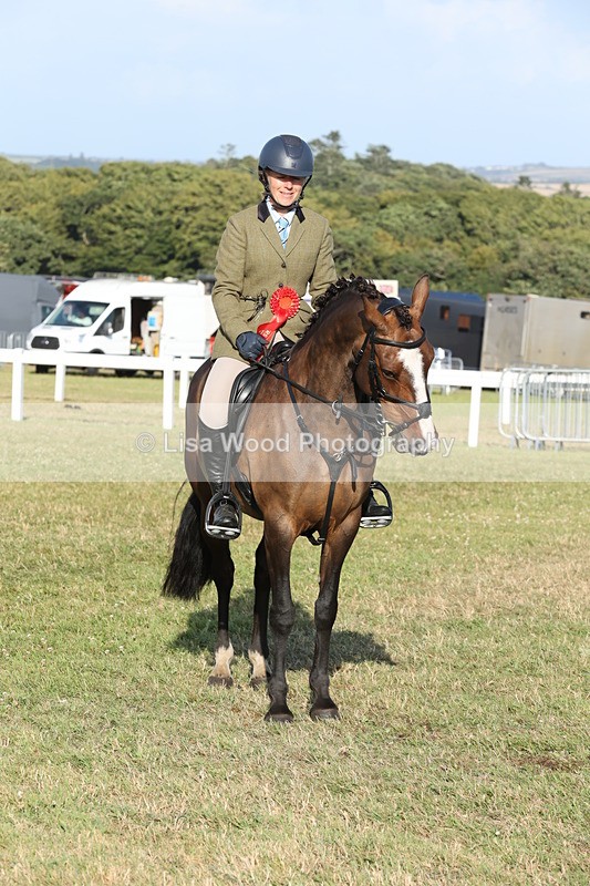 JPP_3399 - Class 22: Working Hunter 90cm