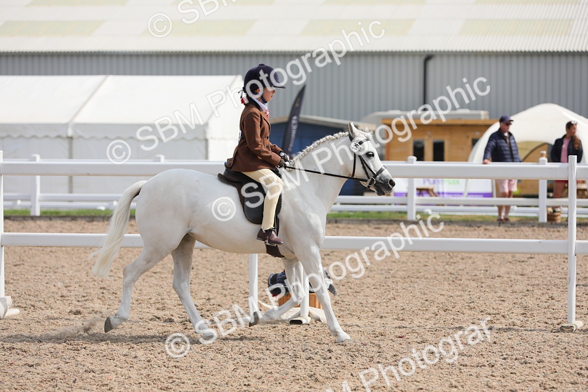SBM_14709 - Class 310 First Ridden Pony