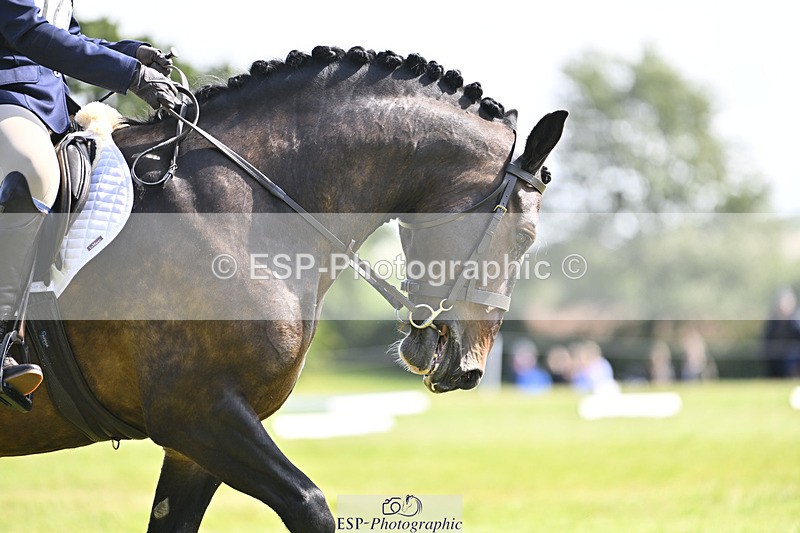 240824X-114514-26022 - D80 Section E and F 11.00 to 12.00