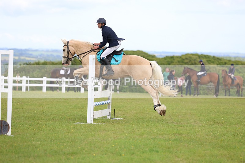 3E7A7653 - Class 13: Senior British Novice/90cm open