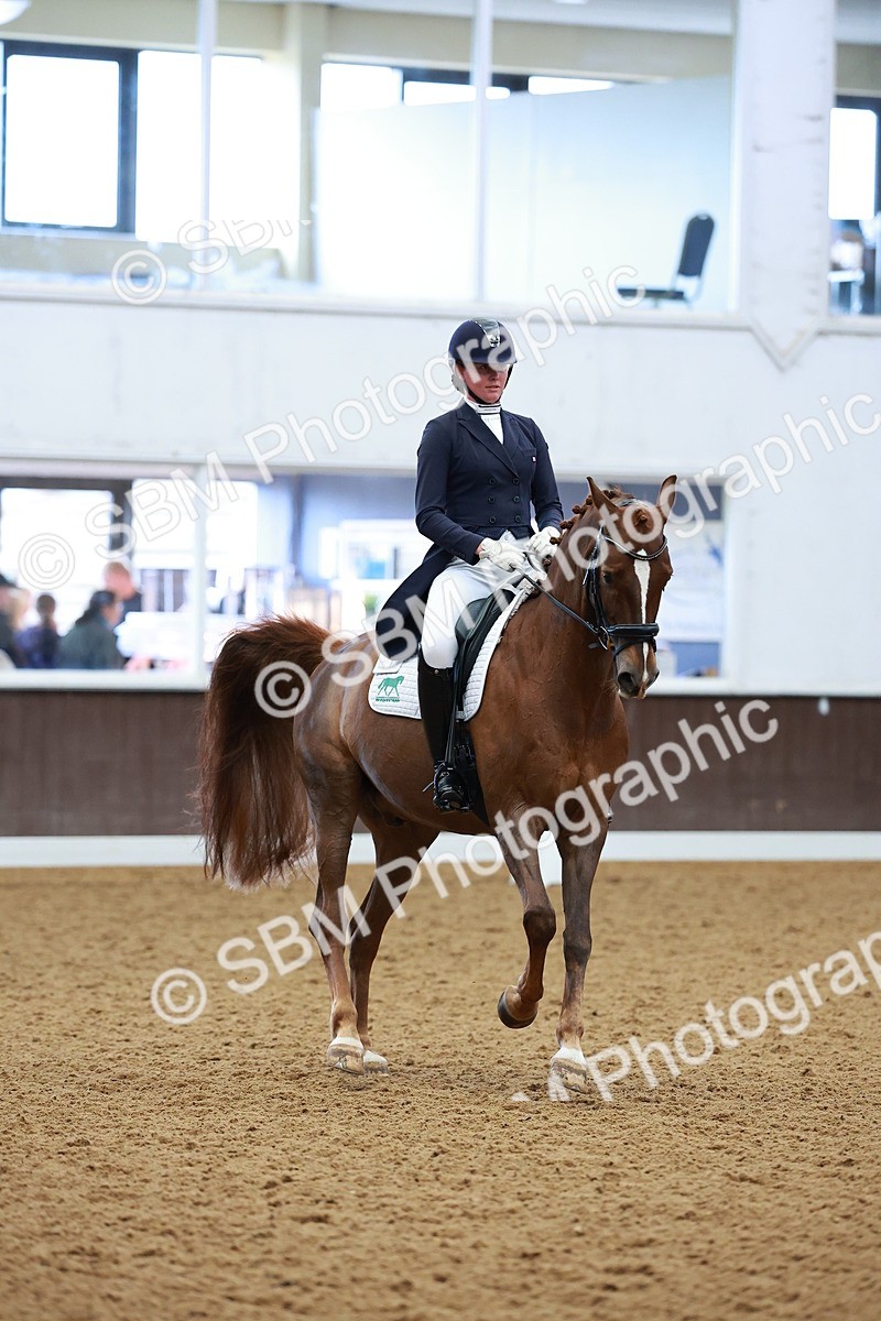 SBM_001131 - Class 12-19-16 - Lusitania-FEI INT I - PYO ADV 1