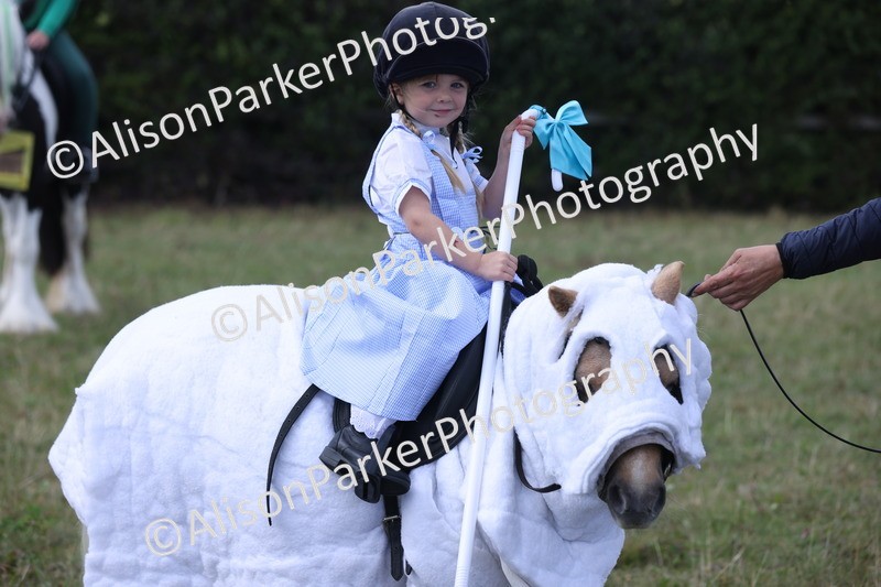 20250831-3566 - Class 26 - Fancy Dress