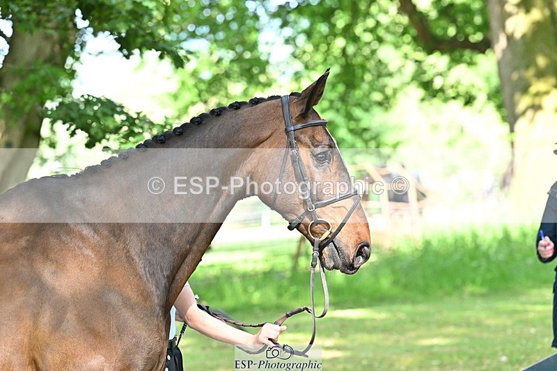 250521A-163902-01257 - C-262-Cosby.Green-LIBERO.D