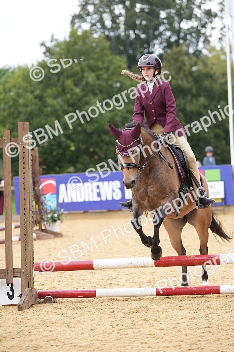 SBM_74826 - J4 - Mini Tour Junior Pony 45cm Championship