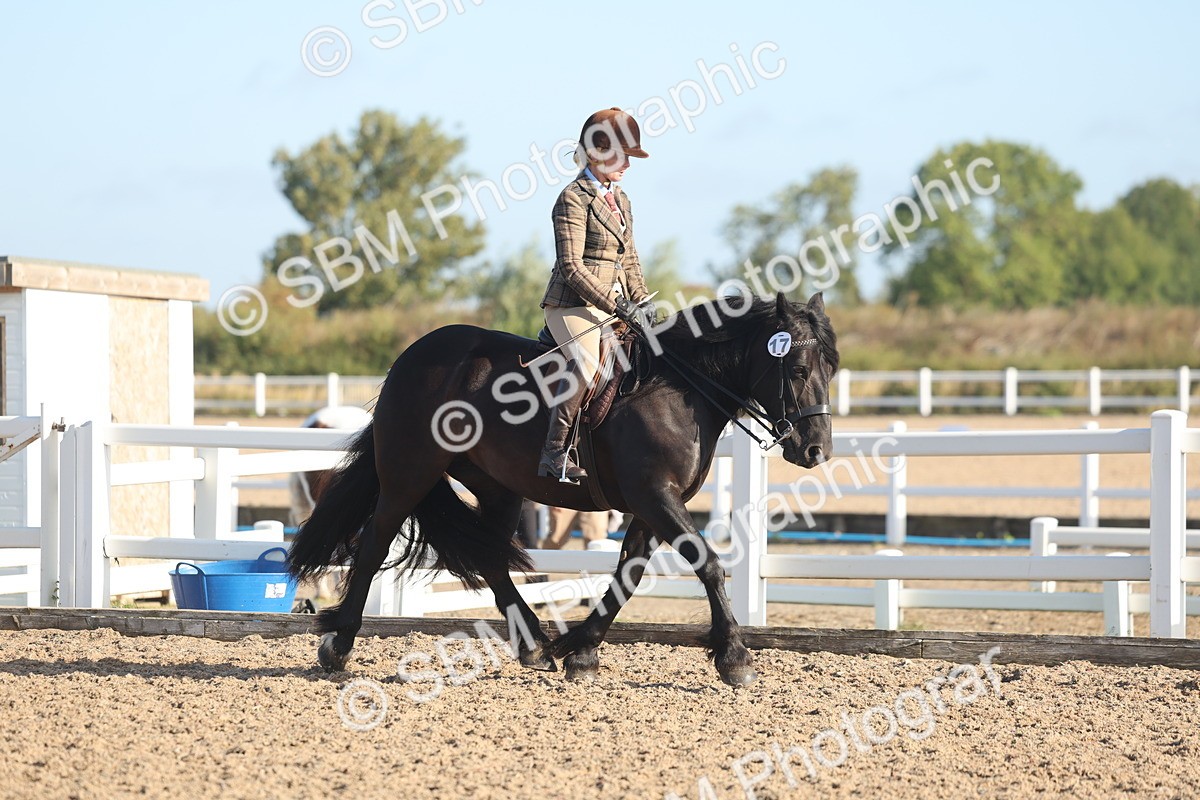 SBM_22111 - Class 801 - Ridden Veterans