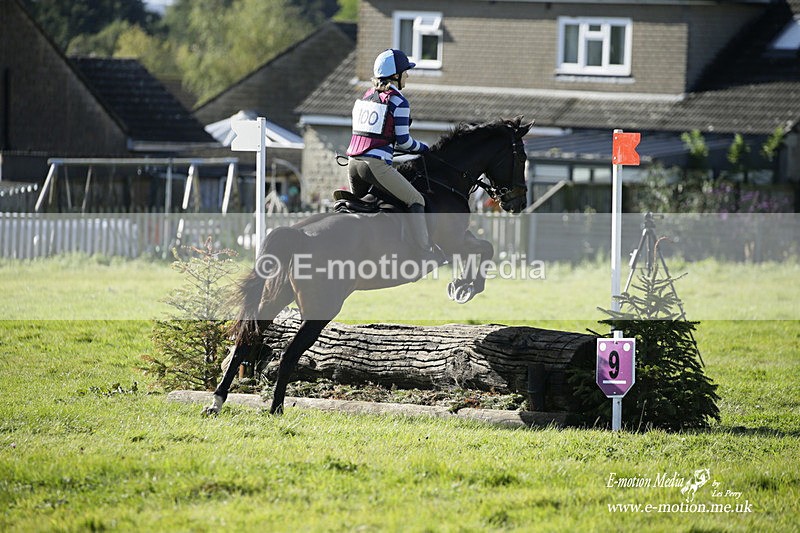  WWHT 031021 1303 - Open Novice (0.80m) 03/10/21