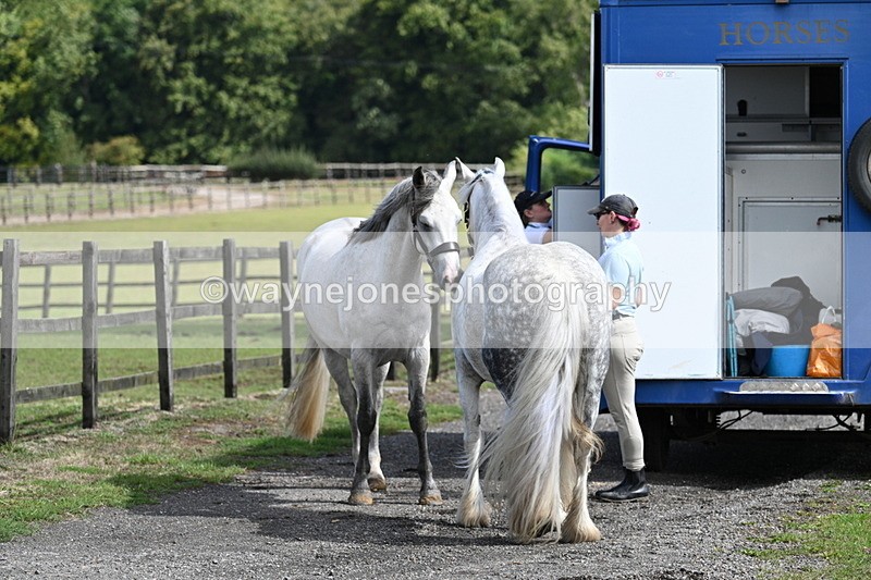 WJ7_6697 - Berks & Bucks at Blandy’s Farm 31-08-25