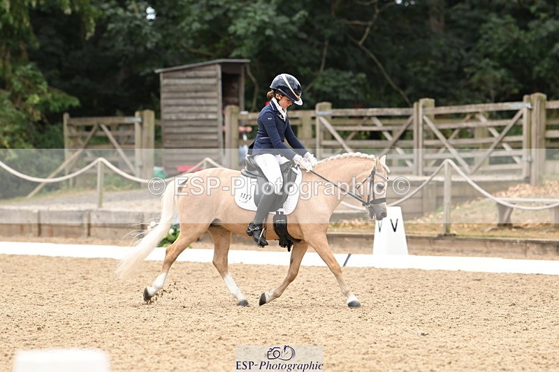 250808A-114152-00668 - 155-Rose.Cassapi-Westfirle.Golden.Oriole