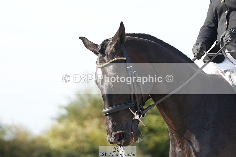 250906-162326-05032 - 123-Sam.YorkOakring.Santino