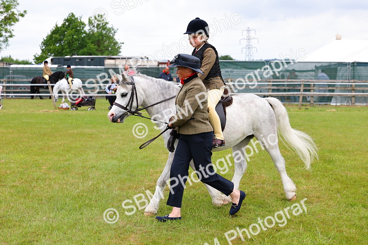 SBM_08200 - Class 42-43 - LIHS BSPS Heritage Working Sports Pony