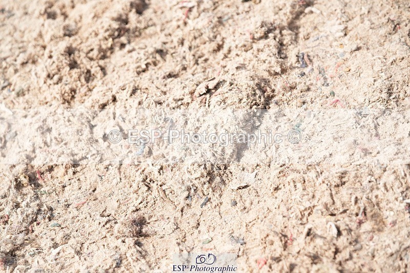 250815-134552-01299 - 1.30pm Presentations