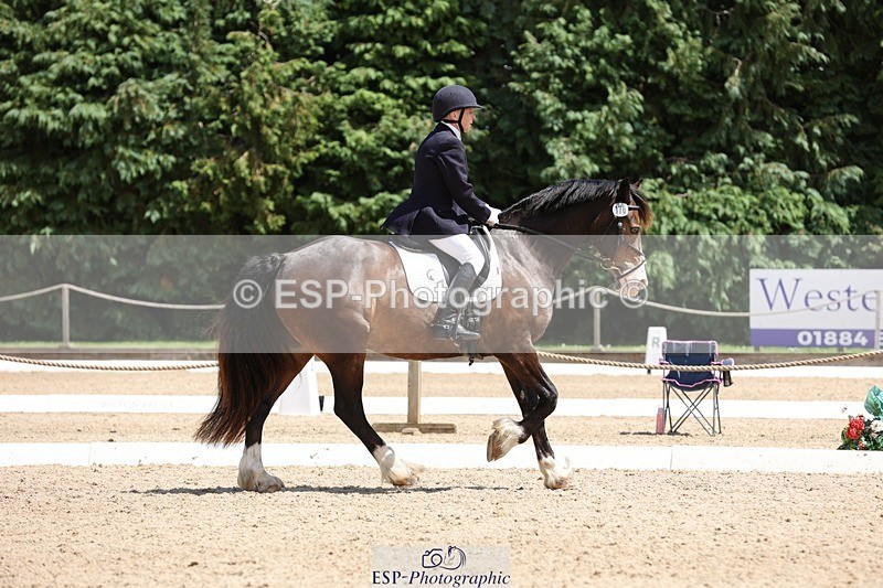 240721-133026-08822 - 176-Amanda_Williams-Llanarth_Westminster