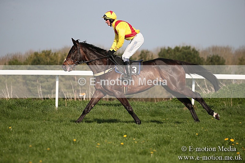 PtP 210418 556 - South & West Wilts Point-to-Point Larkhill 21/04/18