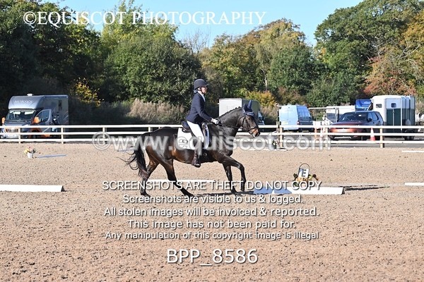BPP_8586 - LONG ARENA