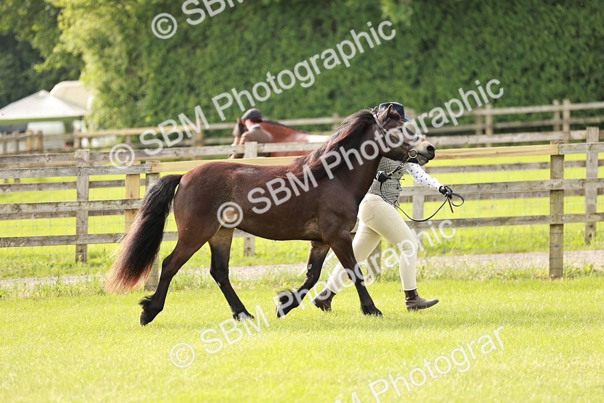 SBM_00387