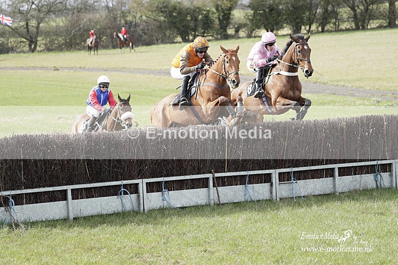 PtP 180323 471 - Shelfield Park Races with Croome & West Warwickshire Hunt  18/03/23