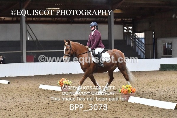 BPP_3078 - INTRO TEST 2