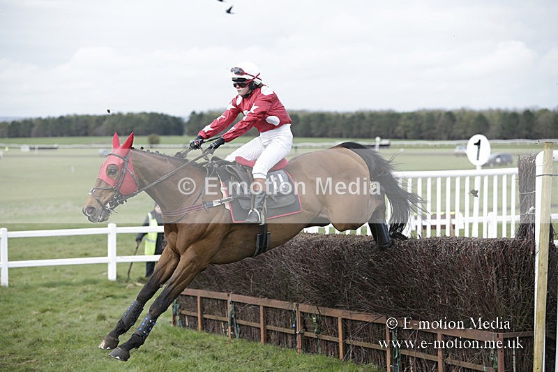 PtP 150320 0668 - New Forest Point-to-Point Larkhill 15/03/20