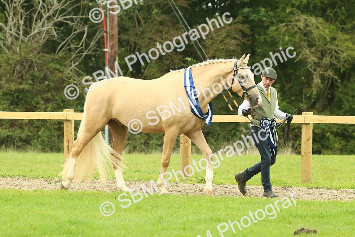 SBM_75128 - Super Supreme Championship