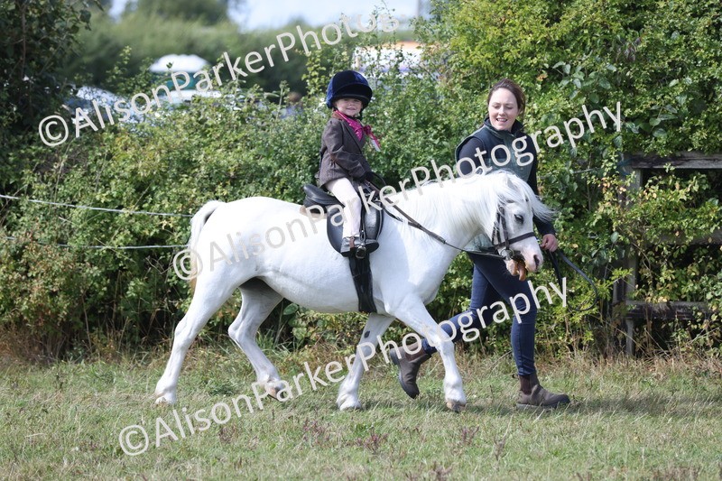 20250831-3272 - Class 24 - Absolute Beginners Pony
