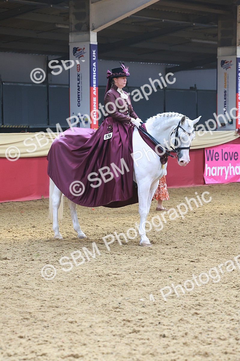 SBM_14824 - Class 108 - Ridden Costume - Astride Adult (20+)