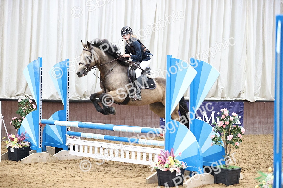 SBM_000445 - Class 2 - Pony British Novice - 80cm Open