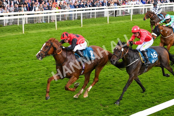 150723-Race 7-Roundhay Park-0757 - Race 7 5.30 pm John Smith's Sprint Handicap