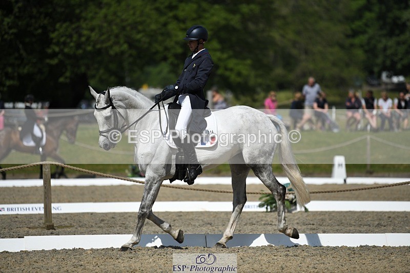 230525-103659-01752 - 314-CHANTILLY_AMATULLAH-Gaspard_Maksud-WEDTrotUp+DR