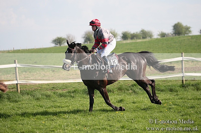 PtP 210418 458 - South & West Wilts Point-to-Point Larkhill 21/04/18