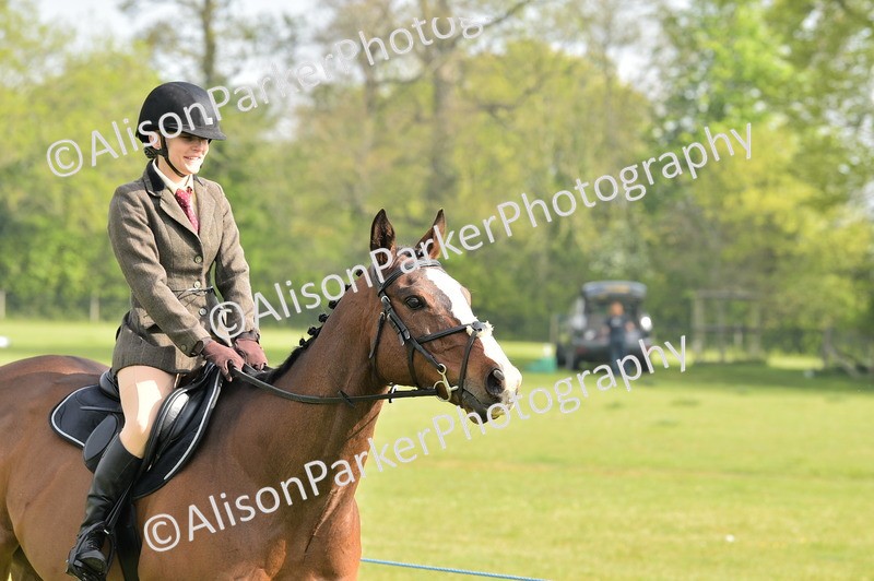 20260426-0853 - Class 18 - Novice Showing