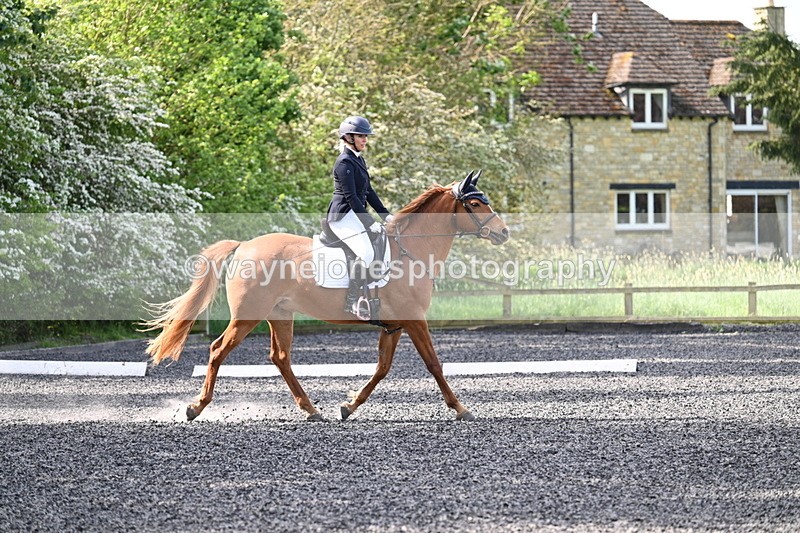 WJ7_7896 - Time 10:11 to 10:27