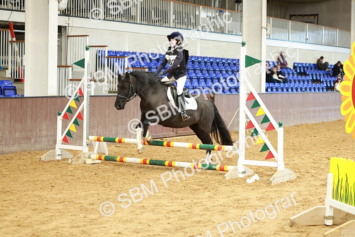 SBM_006145 - Class 3 - 60cm