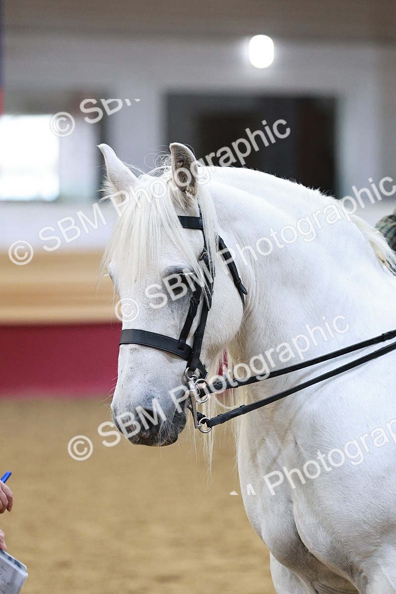 SBM_08245 - Class 11R - Regional Ridden Veteran