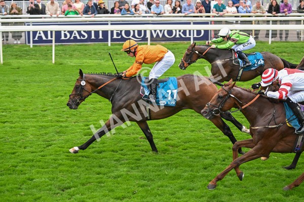 080925-Race 7-Canvas-7865 - Race 7 5.30pm Sky Bet, For The Fans Mile Apprentice Handicap