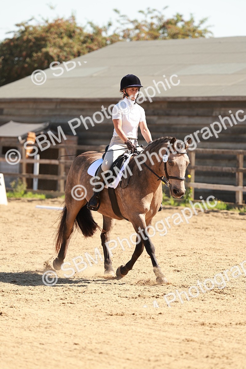 SBM_010610 - Class 4 - Prelim 3