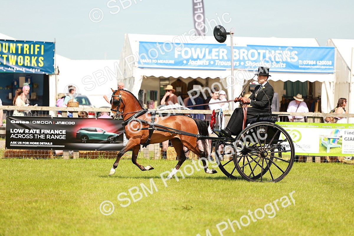 SBM_02871 - Class 2-4 - HOYS Private Driving