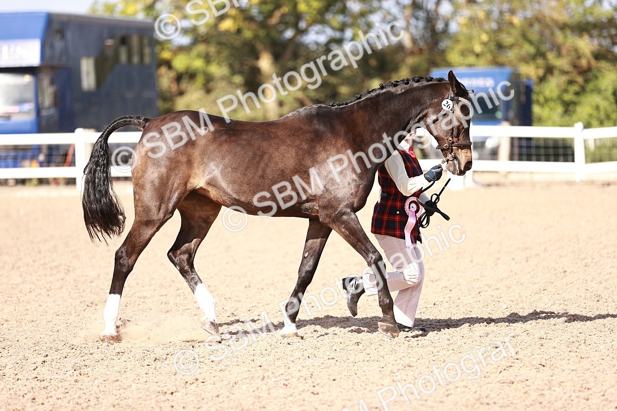 SBM_22855 - Class 705 - IH Combination 65+