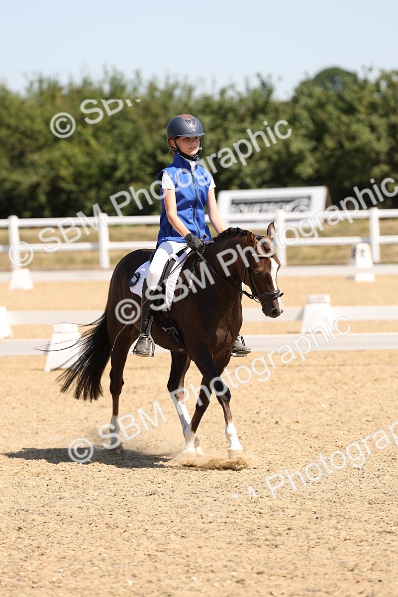 SBM_001189 - Intro 2