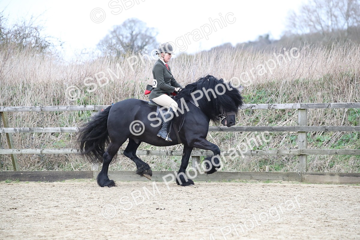 SBM_007172 - Class 10-13 - RIHS Small Large Breeds