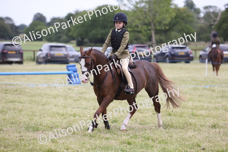 20260614-3017 - Class 22 - Open Working Hunter