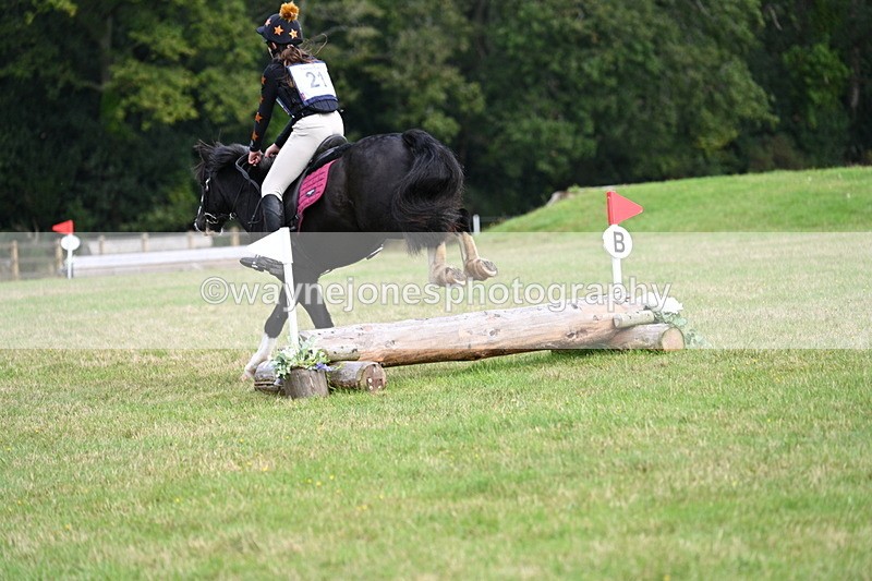 WJ7_8035 - 40cm Time 10:49 to 11:18