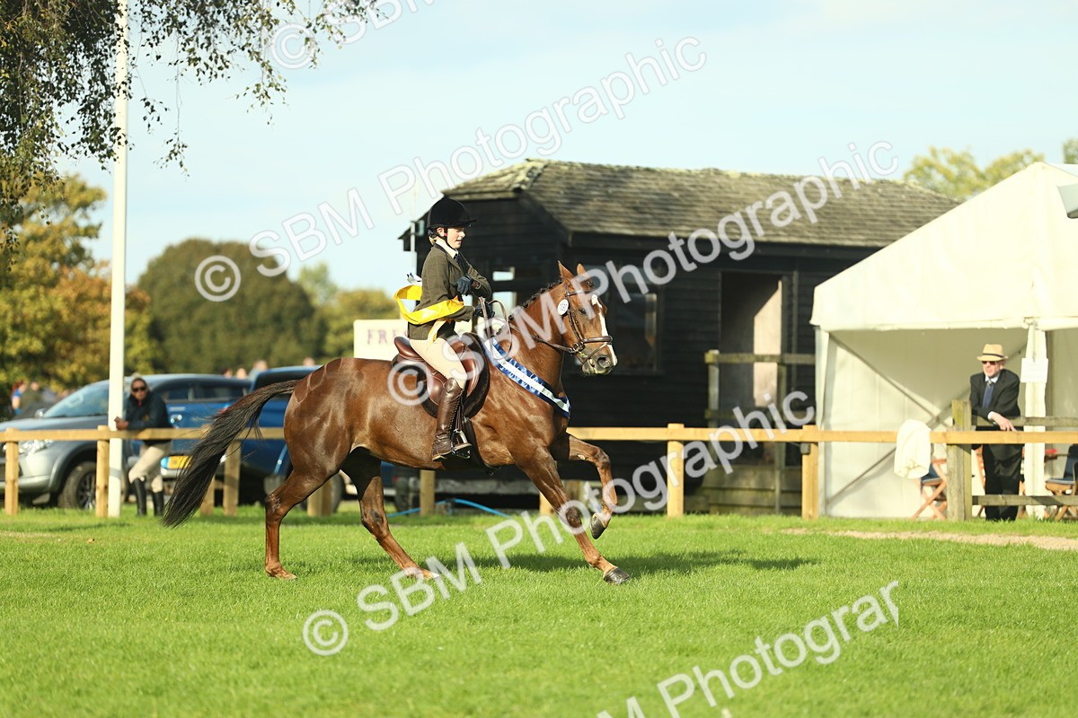 SBM_52335 - Working Hunter Supreme Championship