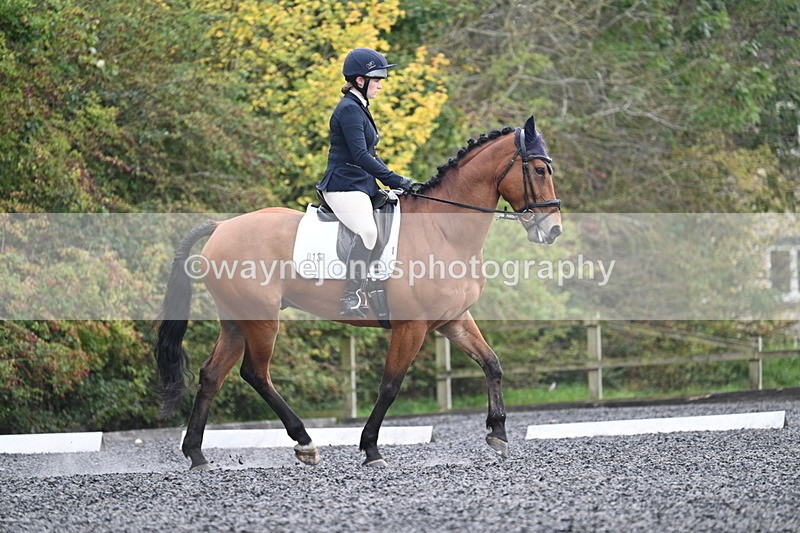 WJ7_3388 - Time 09:54 to 10:54