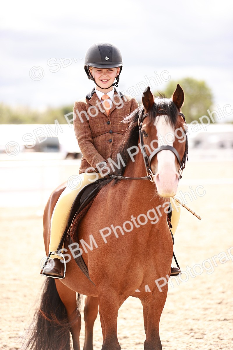 SBM_18348 - Class 417 - Handsome Gelding (IH or Ridden - JNR)
