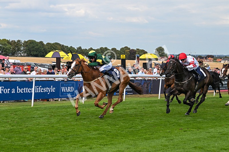 130825-Race 4-Rock Of England-1247 - Race 4