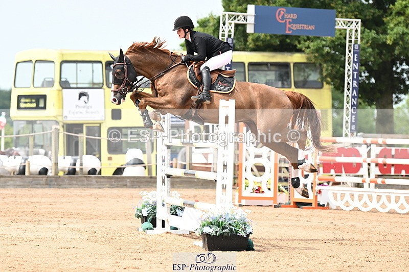 240801A-140014-01891 - Cls 4 Chard 7 Yr Old Championships