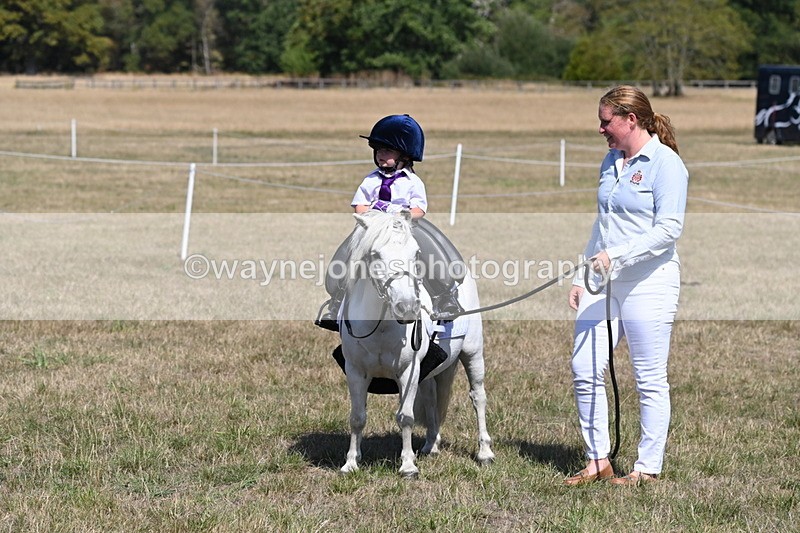 WJ6_9405 - Class 40 Cheekiest Pony/Horse